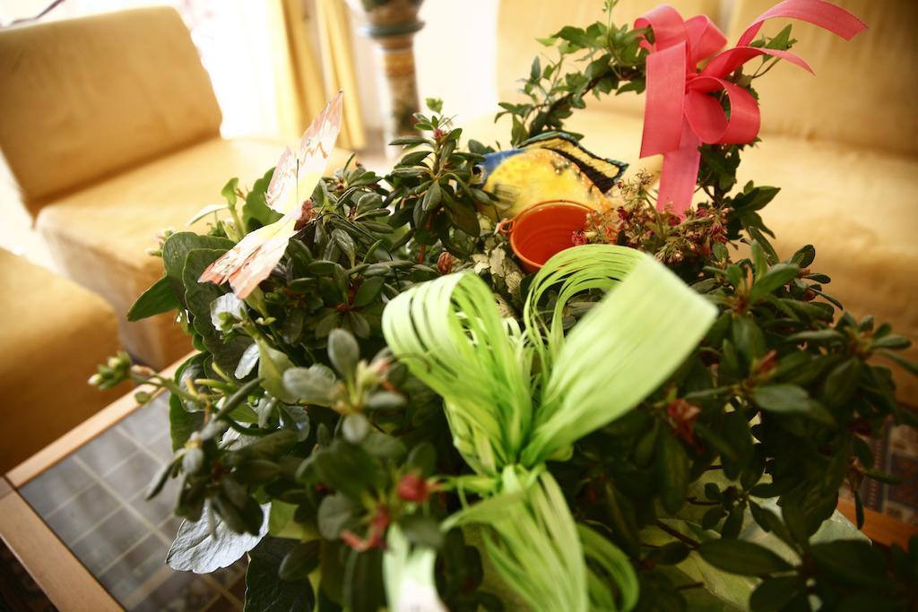Hotel Devon Rooms & Breakfast Cesenatico Exterior photo